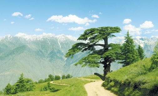 Why every nature lover should trek across the majestic Chitral Gol National Park